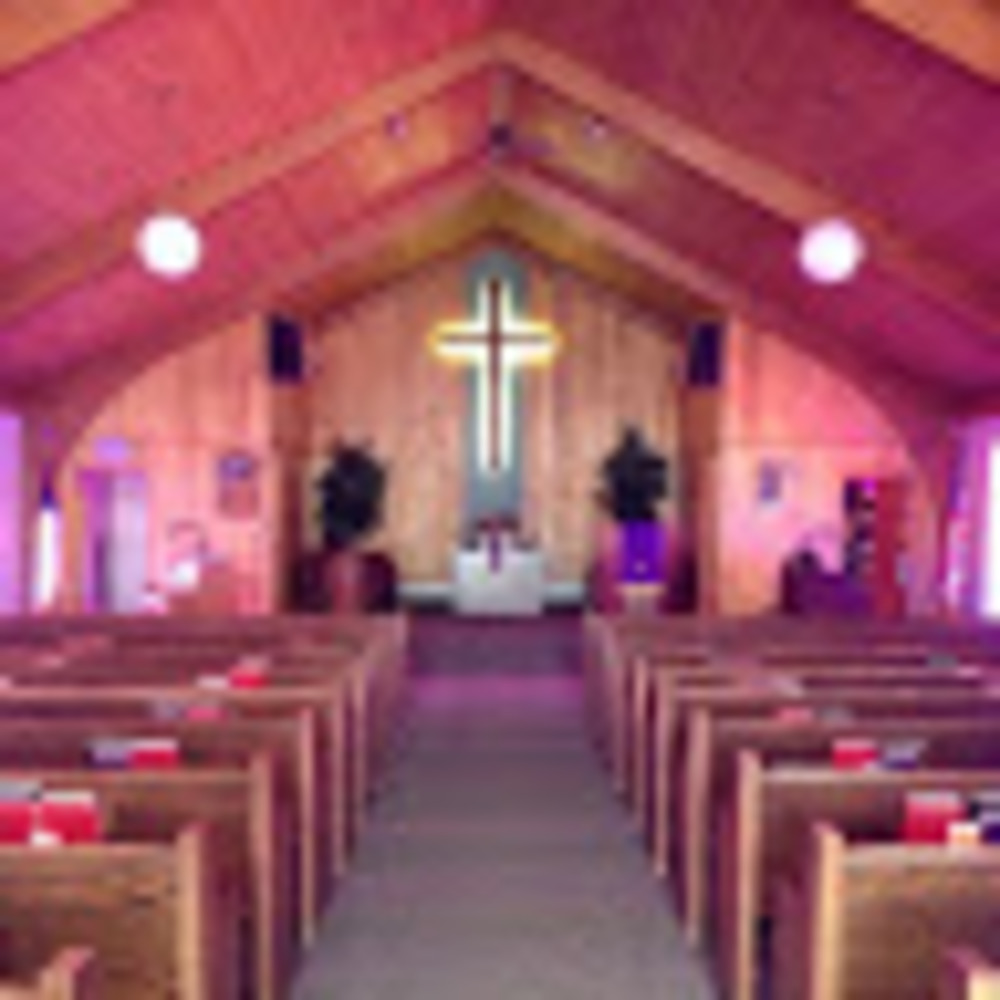 Meet your Posher, Ella